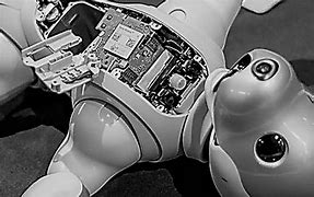 Image result for Aibo Facts