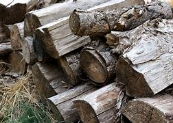 Image result for Wood Pile