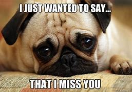 Image result for Miss You Animals