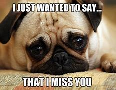 Image result for I Miss You Already Meme