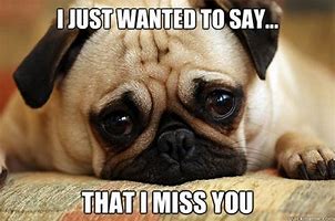 Image result for Miss You Guys Already Meme