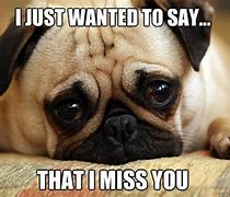 Image result for We Miss You Already Meme