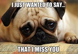 Image result for Miss You Funny Ecard