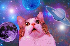 Image result for Psychedelic Space Cats