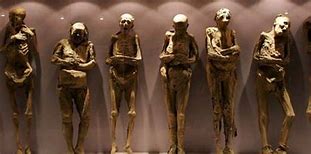 Image result for Guanajuato Mummy Babies