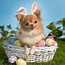 Image result for All Cute Puppies