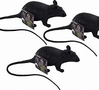 Image result for Large Rubber Rat Prop