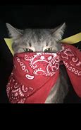 Image result for Cat with Air Pods Meme