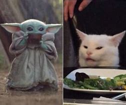 Image result for Baby Yoda Cat Meme