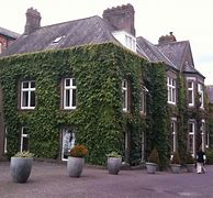 Image result for House with Vines