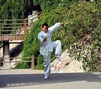 Image result for Kung Fu Ancient China