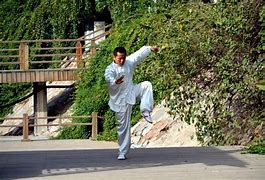 Image result for Chinese Martial Arts Kung Fu