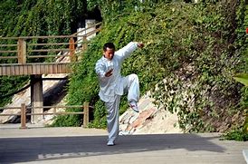 Image result for Martial Arts Background Images