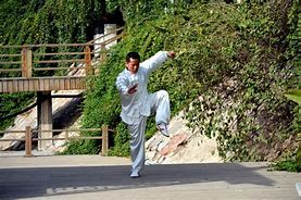 Image result for Chinese Kung Fu Movies in English