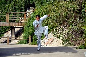 Image result for Chinese Man Kung Fu