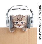 Image result for Kitty Cat Headphones
