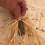 Image result for Witches Broom Crafts