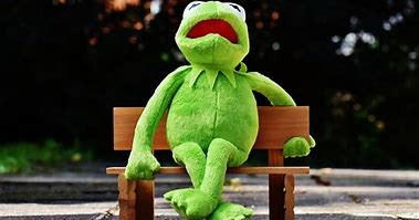 Image result for Cute Kermit