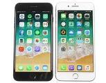 Image result for How Many Inches Is the iPhone 8 Plus