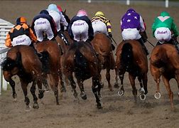 Image result for Free Horse Racing Tips for Tomorrow