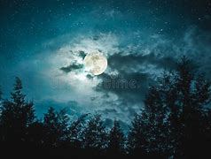 Image result for Beautiful Night Sky with Stars