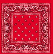 Image result for Bandana Handkerchief