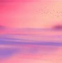 Image result for Apple Laptop Screen Pink