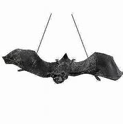 Image result for Bat Black Toy