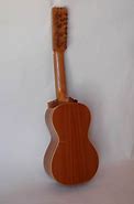 Image result for guitonear