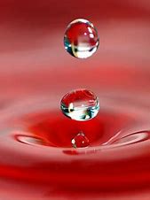 Image result for Water Mobile Wallpaper