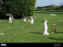 Image result for Cricket Landscape Picture Bowling