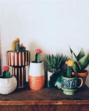 Image result for Quirky Decorations
