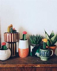 Image result for Quirky Decorations