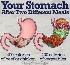Image result for Meat versus Vegetable