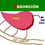 Image result for farmacolog�a