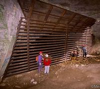 Image result for Indiana Bat Cave