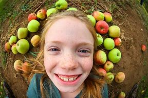 Image result for Apple-Picking Autumn Harvest