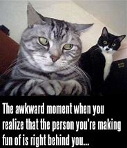 Image result for You Are Awesome Cat Meme