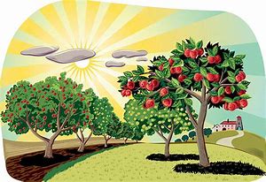 Image result for Apple Orchard Clip Art