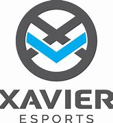 Image result for eSports Logo Galaxy