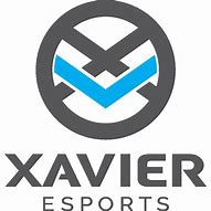 Image result for Simple Team Logo eSports