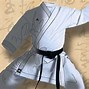 Image result for Karate Gi Colors