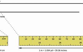 Image result for 45 Cm Compared to Things