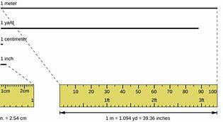 Image result for 50 Meters Compared to Human