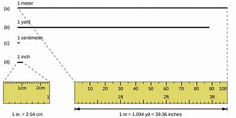 Image result for Yard vs Meter Stick