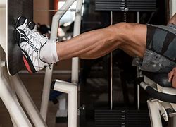 Image result for Importance of Calf Muscles