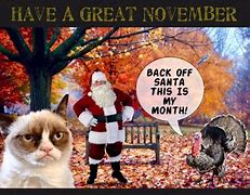 Image result for November Cat Meme