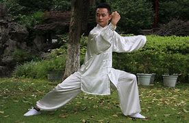 Image result for Chen Style Tai Chi Movements