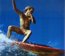 Image result for 1960s California Surf Culture