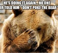 Image result for Silly Bear Meme